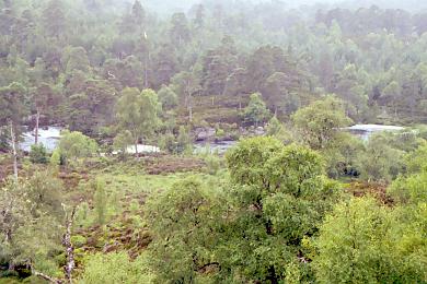 Glen Landscape